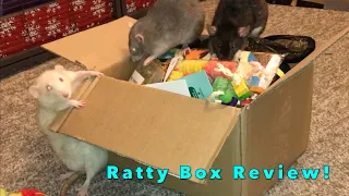 Reviewing April 2021's Ratty Box (A Rat Subscription Service!)