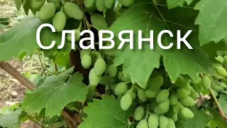 Славянск 22 Июля 2022 год