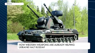 Gepard and Twardy: new Western weaponry on the Ukrainian front line