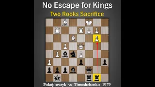 No escape for king | Pokojowczyk vs Timoshchenko 1979