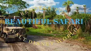 MAGICAL POV ANIMAL SAFARI TOUR AT ANIMAL KINGDOM