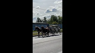 «Пересечение времен» – конная упряжка в потоке авто в Санкт-Петербурге, август 2021