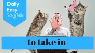 Learn English: Daily Easy English 1079: to take in