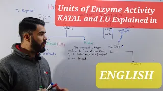 Units of Enzyme activity Katal and International Unit in ENGLISH By Dr Hadi