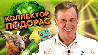 😲ЗАСТАВИЛ КОЛЛЕКТОРА УВОЛИТЬСЯ!😲| БАНКРОТСТВО | Кузнецов | Аллиам