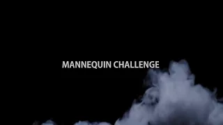 Mannequin Challenge (Манекен Челендж)