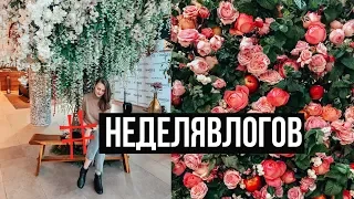 День 7 МОЙ ПЕРВЫЙ ПРЕСС-ТУР! Едем в Манчестер #НЕДЕЛЯВЛОГОВ