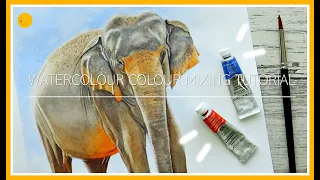 WATERCOLOUR colour MIXING Tutorial Part 2: NEUTRALS & BROWN from COMPLEMENTARY colours | Elephant