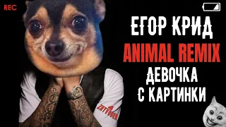 ЕГОР КРИД - ДЕВОЧКА С КАРТИНКИ (FULL ANIMAL REMIX)