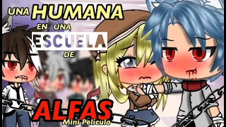 ❦ UNA HUMANA EN UNA ESCUELA DE ALFAS?! ❦ || 🎬 Gacha life mini película 🎬 || GLMM