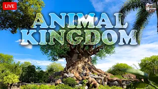🔴 LIVE Disney's Animal Kingdom: Morning Meandering Among the Flora & Fauna, Hoping for MerryWeather!