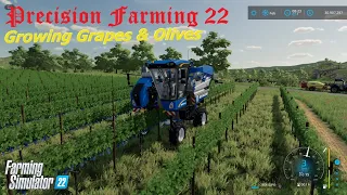 How To Grow Grapes and Olives With Precision Farming 22