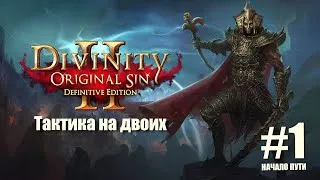 Divinity Original Sin2 прохождение двумя персонажами на сложности Тактика