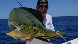 Monster Mahi Mayhem {Catch Clean Cook} Wide open Dolphin fishing in Florida!