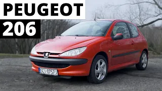 Peugeot 206 - tak lew wygryzł łosia