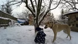 Яванская  макака  Федор  на  прогулке в Рождество