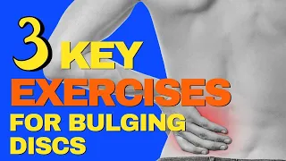 3 Key Exercises For Bulging Discs | L4 L5 Disc Protrusion Exercises | Dr Walter Salubro