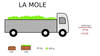 La mole e le mele!!