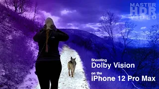 How does the iPhone 12 shoot in Dolby Vision? And is it good?