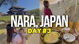 DAY 3 - TODAIJI TEMPLE IN NARA, JAPAN + FIRST ICHIRAN RAMEN