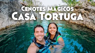 TOUR de CENOTES MÁGICOS 🐢 Cenotes Casa Tortuga + Cenote Sagrado + Tulum Zona Arqueológica