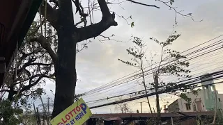Odette Dec. 16 2021 / Super Typhoon Odette / Actual Video Bagyong Odette Landfall