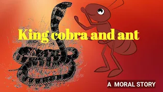 A king cobra and ants , #storyinenglish ,#englishstory ,@MSA.official