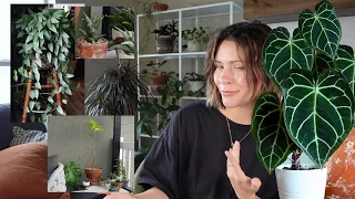 How to make your houseplants look better | Plant Display Tips & Tricks