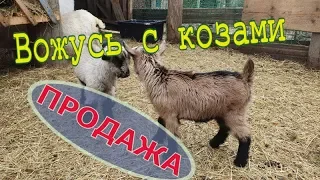 Распродажа коз! // Юлия Артуровна