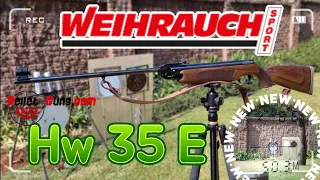 Weihrauch HW35E shooting JSB knockout slugs .177cal