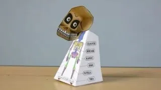 Amazing 3D Swivel Head illusion: Skully the Skeleton