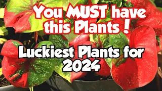 Top 18 Lucky Plants for 2024 | Health, Wealth & Prosperity #luckyplants