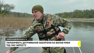 На Кіровоградщині рибоохоронці перевірили дотримання заборони на вилов риби під час нересту