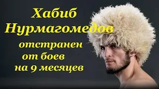 Хабиб Нурмагомедов отстранен от боев на 9 месяцев