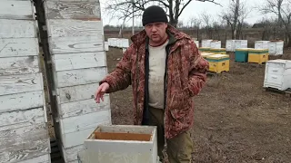Как можно увеличить пасеку не покупая пчелопакеты. Краткое описание работы с шестирамочником.
