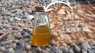 HOW TO EXTRACT PURE PALM KERNEL OIL AT HOME | #hairessence