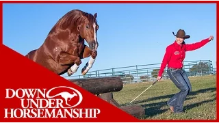 Shana and Marty at Liberty - Downunder Horsemanship