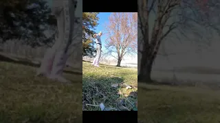 Dixiedo fox runs away with my phone.tries to bury it. (FAKE)