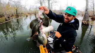 THIS is REAL Crappie Fishing! *Raw and Uncut* Slaying SLABS in a SWAMP!