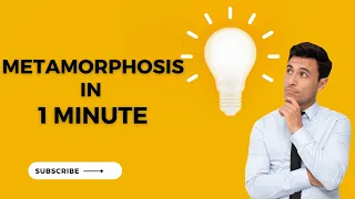 Metamorphosis Unraveled in 60 Seconds | 1 Minute Knowledge