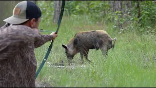 I thought this would never happen! {Catch Clean Cook} Hog Hunting in The South