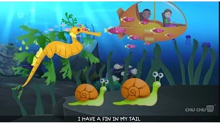 Leafy Sea Dragon Nursery Rhyme, Sea World   Animal Songs and Nursery Rhymes For Children