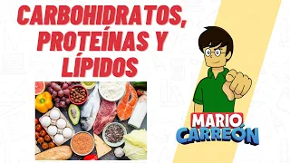 Carbohidratos, Proteínas y Lípidos 🥑