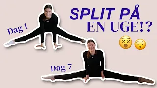 KAN MAN LÆRE AT GÅ I SPLIT PÅ EN UGE!? 🤸🏽