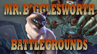 Mr. Bigglesworth Players Guide Hearthstone Battlegrounds *Outdated*