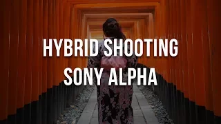 Hybrid Shooting with Sony Alpha Overview - a9 a7S II a7R II a6500 a6300