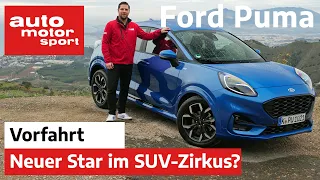 Ford Puma 2020: Die Raubkatze im Zirkus der Mini-SUV?  - Fahrbericht/Review | auto motor und sport