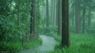 Listen to the rain on the forest path(2), relax, reduce anxiety, and sleep deeply