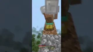 Untitled Video.... #minecraft  #shorts