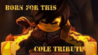 Lego Ninjago Born for This Cole Tribute